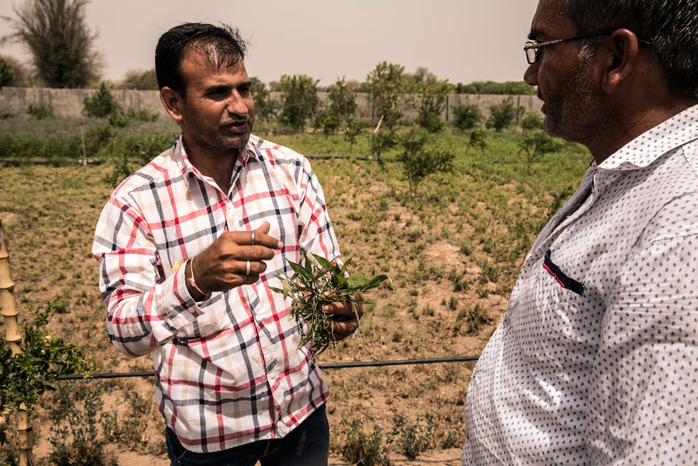 Purshottam Jangid is an agriculture specialist who started with JIVA in 2013. You can find Purshottam in the fields working alongside village farmers. His one foot in the furrow approach is one of the main reasons JIVA enjoys such strong relationships with local growers.