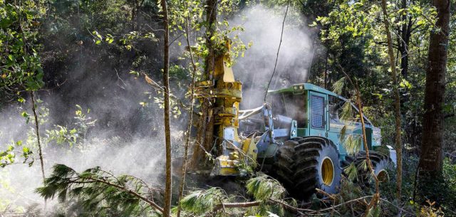 Band of Brothers on the Bayou