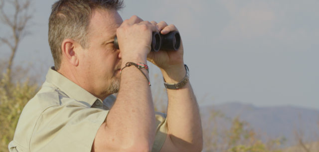 A Walk on the Wild Side